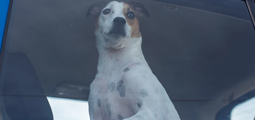 Car Lockout Solutions in Rancho Murieta, California